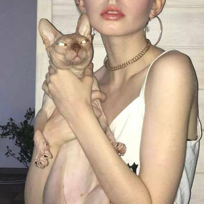 系统推荐