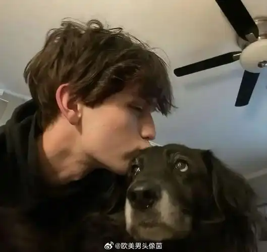 系统推荐